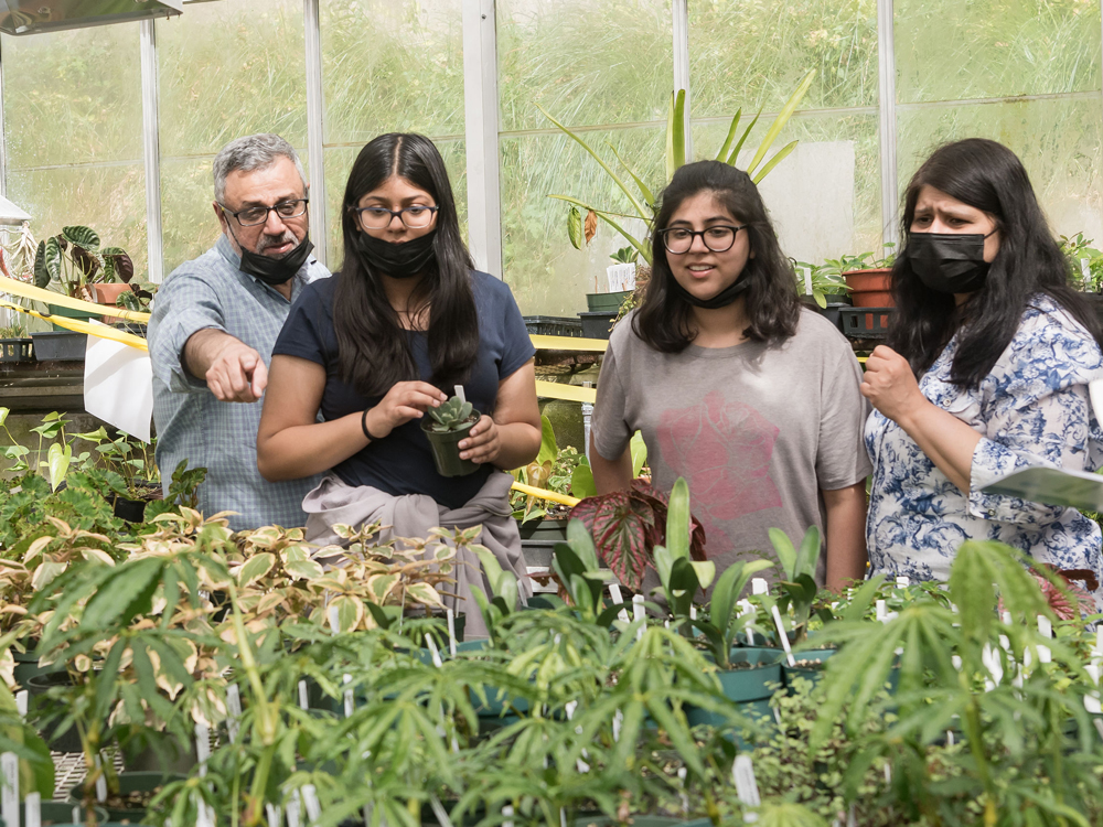 A family considers a tray of possible plants