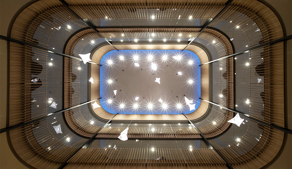 View looking skyward inside the Neilson library