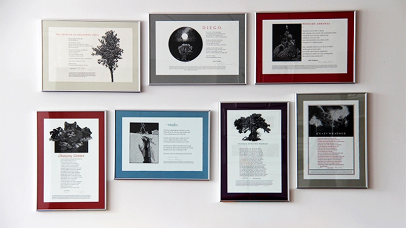 Photo of framed broadsides in The Poetry Center