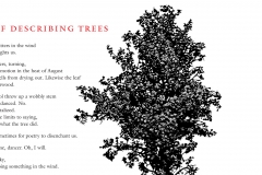 Robert Hass broadside, "The Problem of Describing Trees"