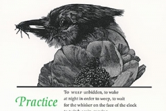 Ellen Bryant Voigt broadside, "Practice"