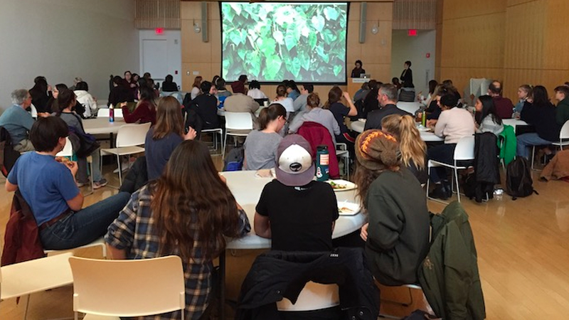 Students in classroom setting