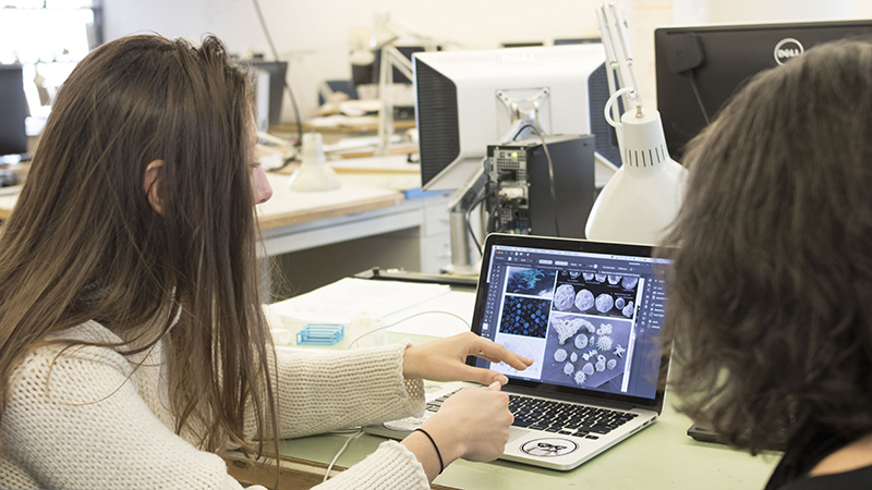 Two architecture students using computer software