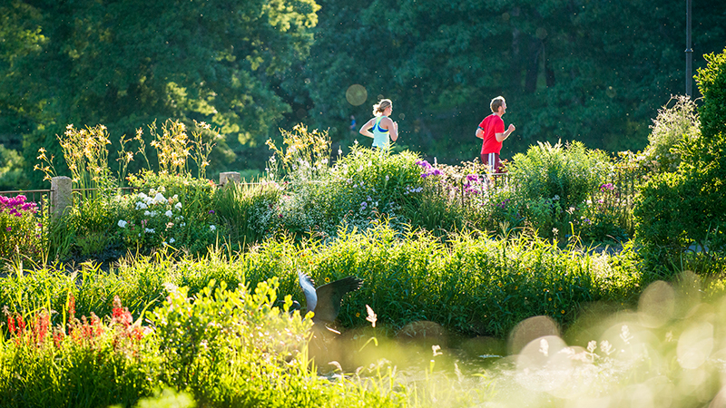 Two joggers running past the Botanic Garden in summer