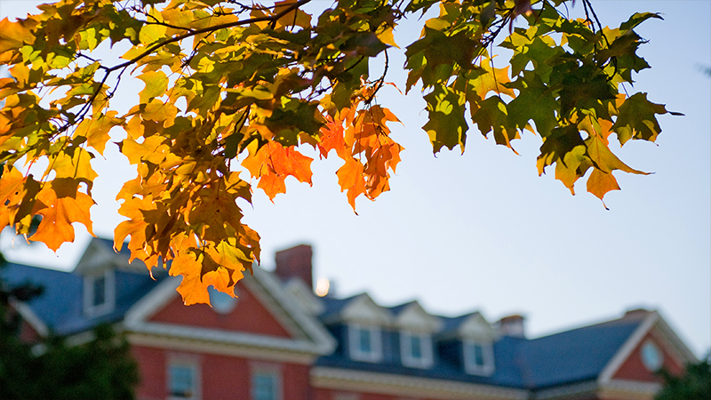 Beautiful fall leaves in focus, out-of-focus college building in background