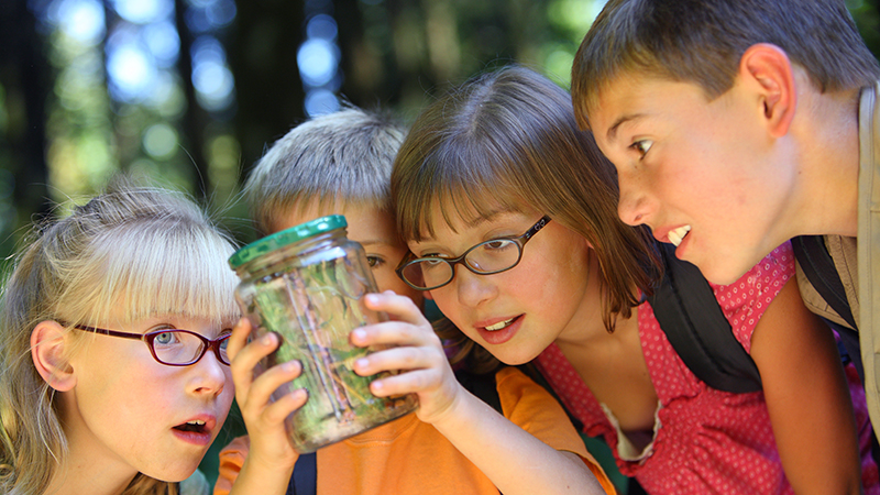 Group of four young children looking at bug in jar