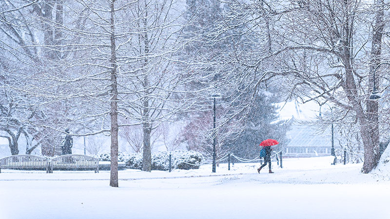 A single student with a red umbrella walking in a snowstorm