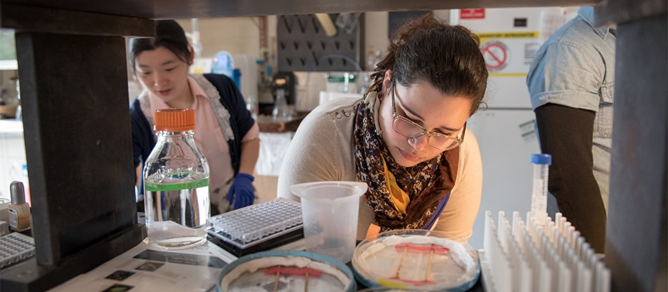 Student doing research in a science lab