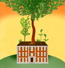 color illustration of brick building with green tree growing out of it for CEEDS