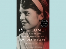 Red Comet book cover