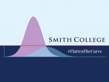 Graph with two curves, one a tall, skinny peak, the other low and long