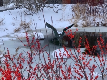 Heron statue on a frozen pond with red winter berries