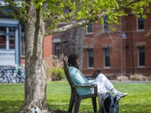 A student on a laptop under a tree