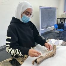 A student creates a sculpture using plant materials.