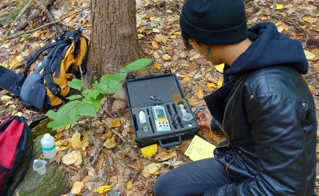 Scientific inquiry flourishes at Smith's MacLeish Field Station.