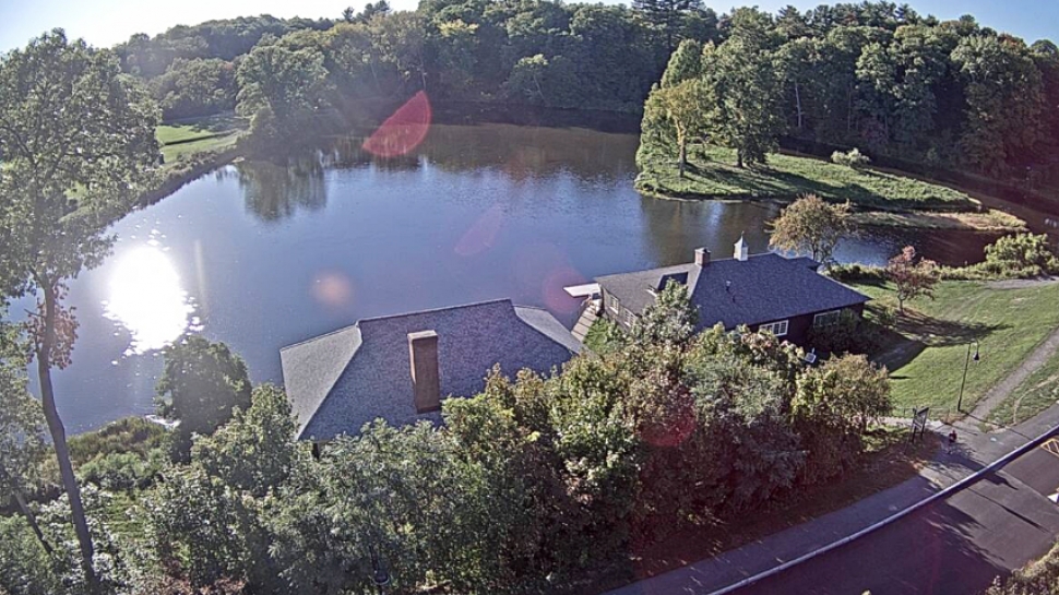 Paradise Pond seen from the top of the science center